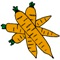 CSA