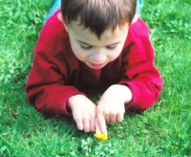 turfchild.jpg turfchild.jpg