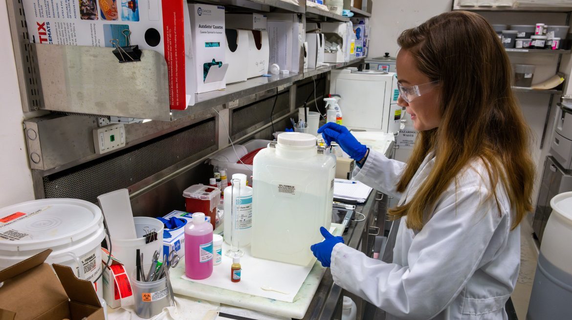 Apply for the Fall 2026 Green Fund!