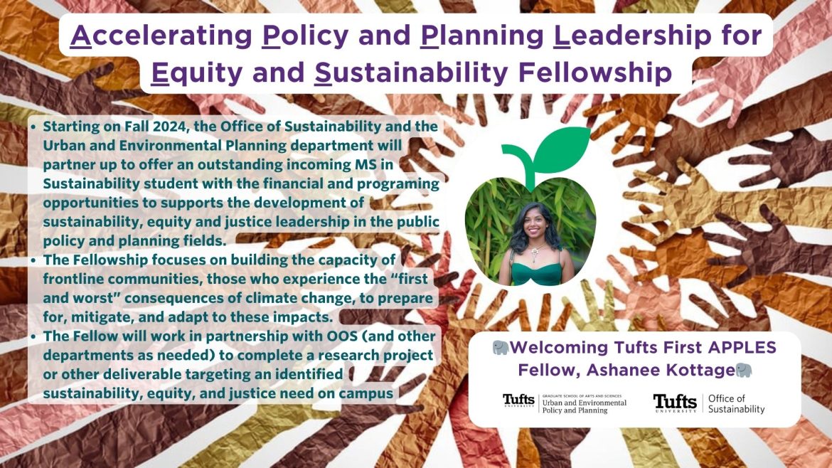 Introducing a New Sustainability Fellowship