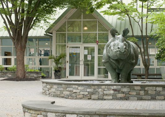 Front view of SMFA and SMFA Rhino Statue