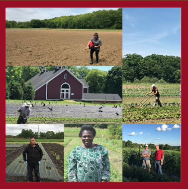 Collage of images of farmers from New Entry Food Hub