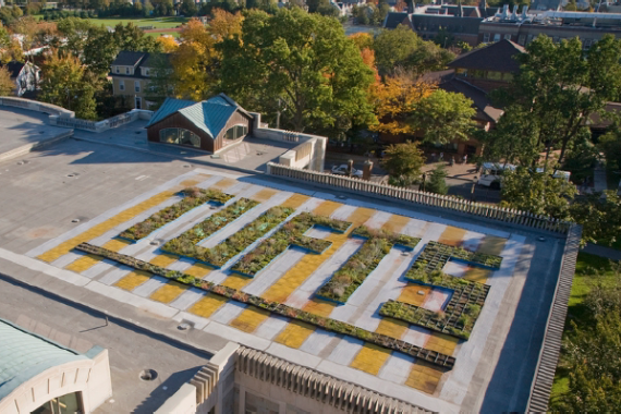 Tufts Rooftop Garden