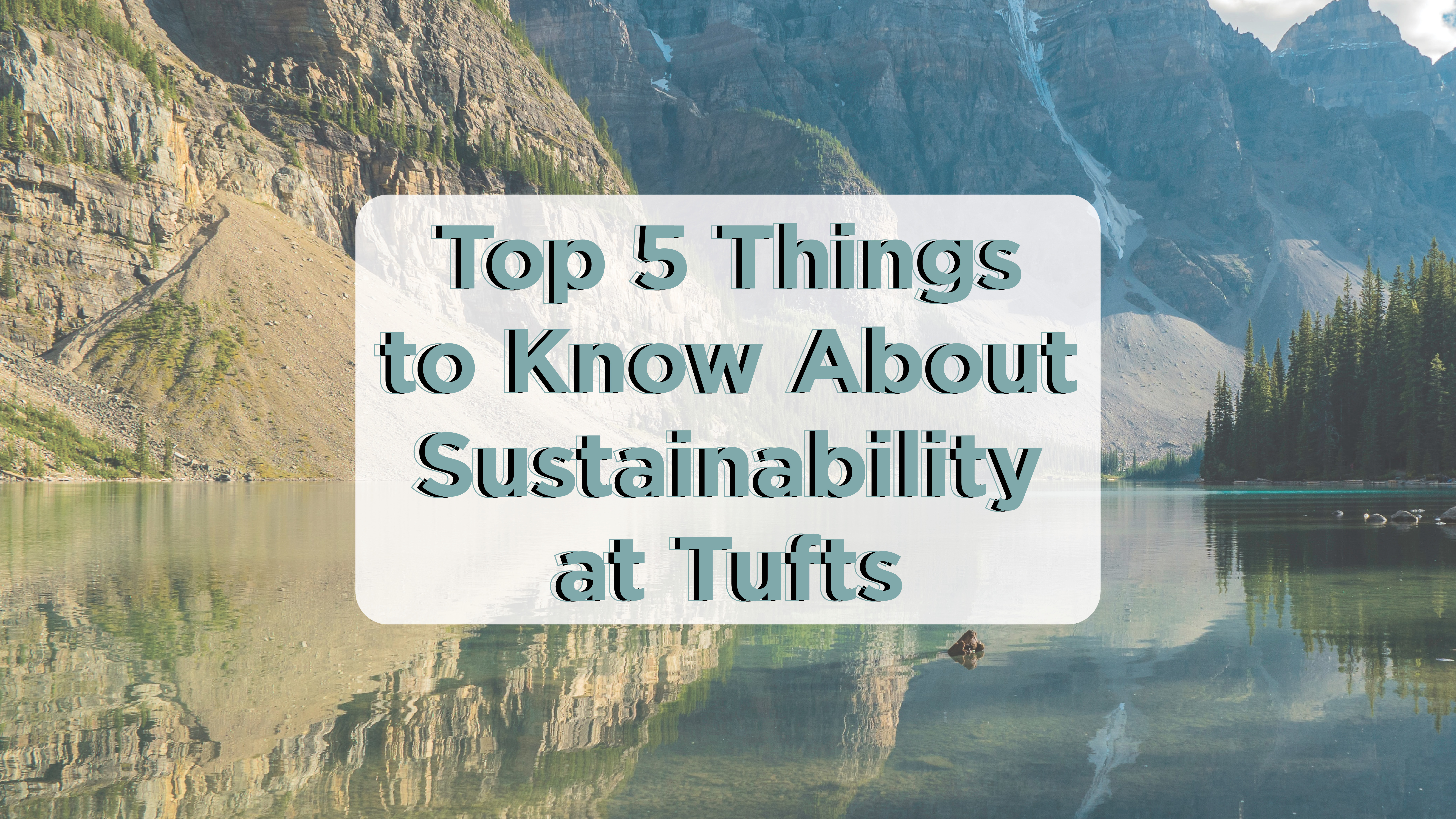 Top 5 Things to Know About Sustainability at Tufts