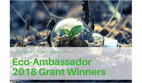 2018 eco embassador grant winners, image of lightbulb with soil and seedling inside of it